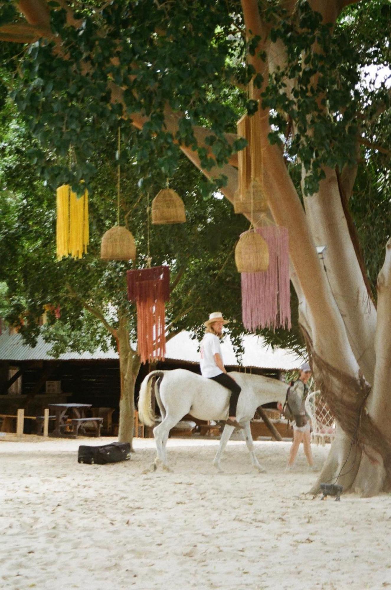 Worlds - River Front Guest Farm &