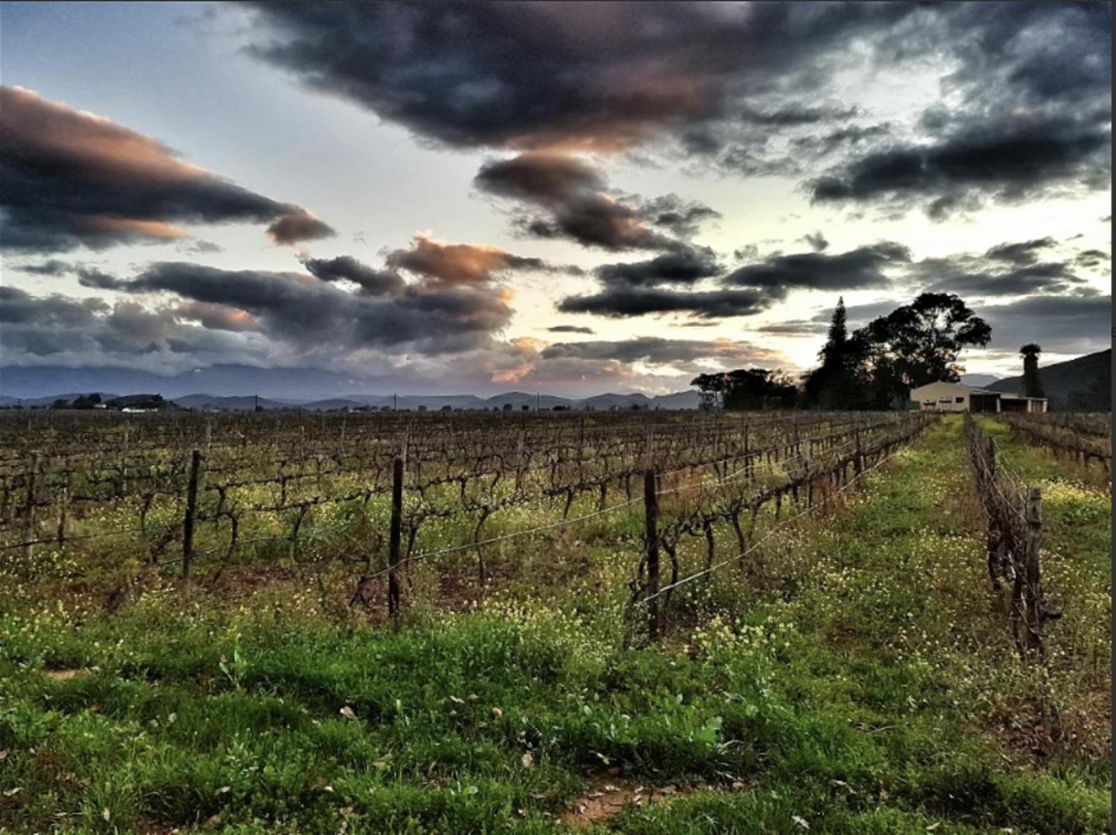 Farm stay Worlds - River Front Guest Farm & Bonnievale
