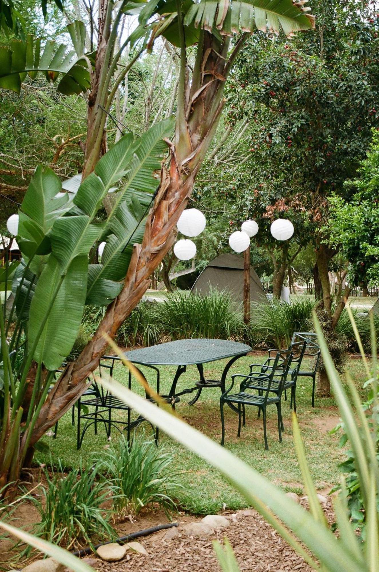 Worlds - River Front Guest Farm & Farm stay *